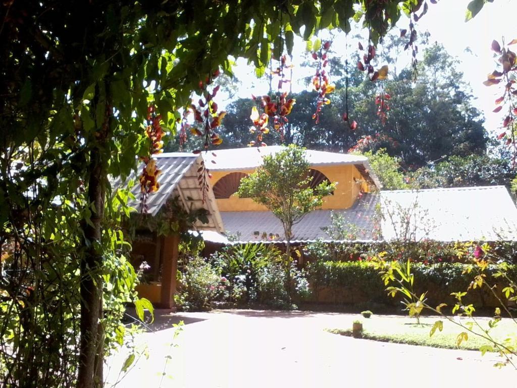 Sunnyside Holiday Bungalow Ella Exteriör bild
