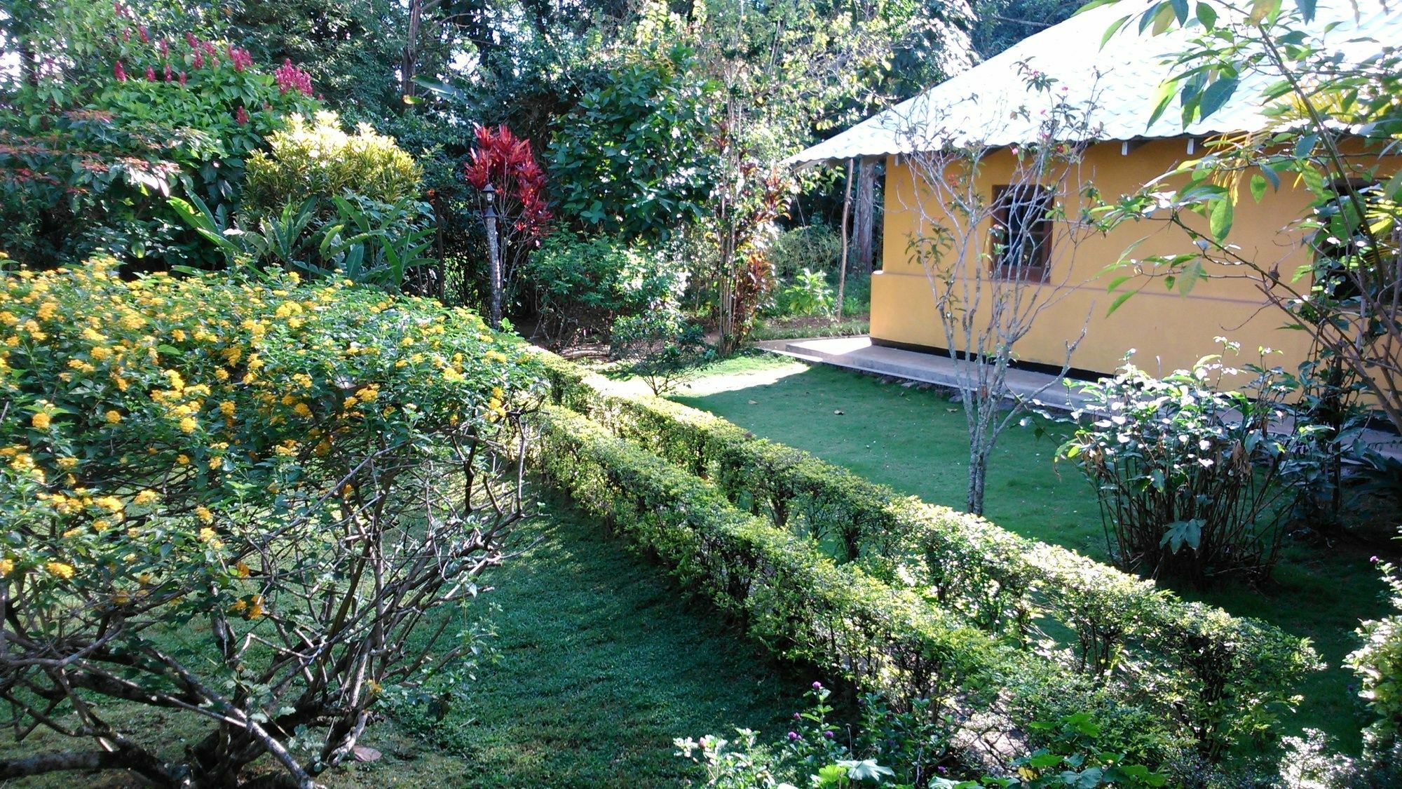 Sunnyside Holiday Bungalow Ella Exteriör bild